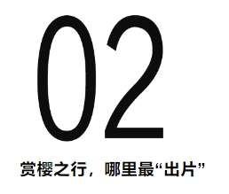 9.png