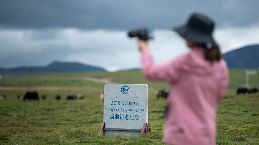 “鏗鏘玫瑰”在江源綻放