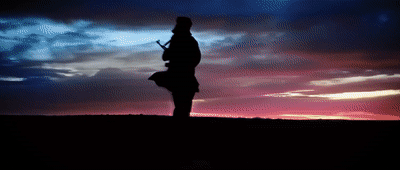 5.gif
