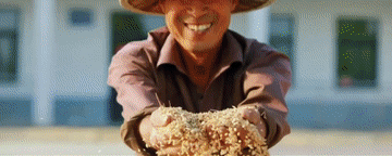 4.gif