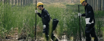 5.gif