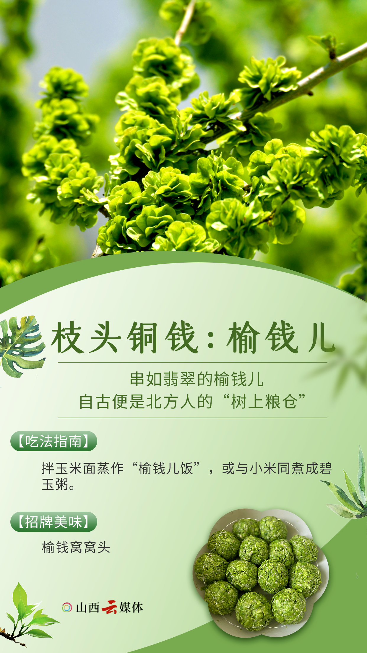 379037b7efbb4bf68edf735bf5a581b2.png