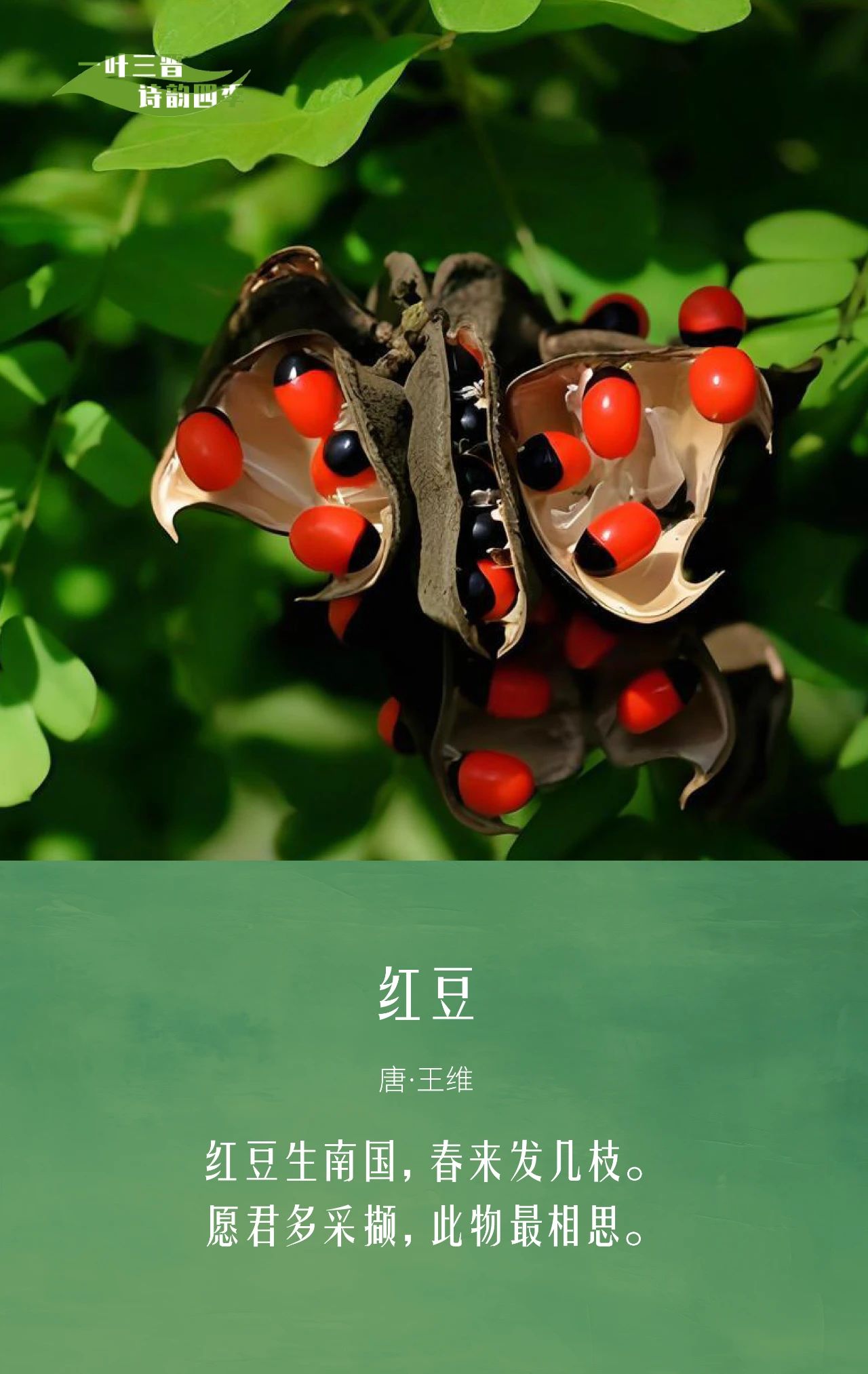 f666de475d774a989c902ed1ab4c88d7.jpg
