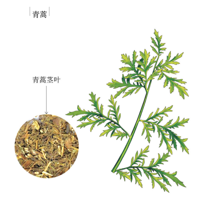 f56fc1e56b23429b977dc1df116c3fb4.png